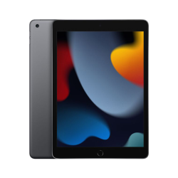 Apple iPad 9th Gen 10.2" 256GB Wifi